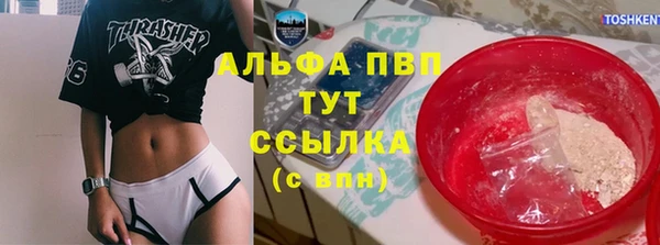 стаф Шилка