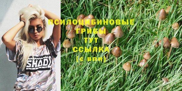 прущий лед Карталы
