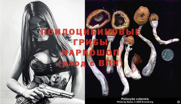 jwh Касимов