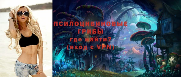 тгк Кодинск