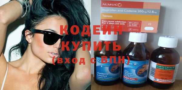 молекула духа Каменка
