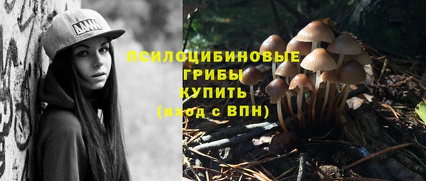 jwh Касимов