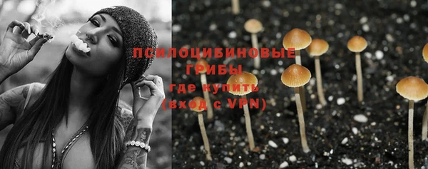 jwh Касимов
